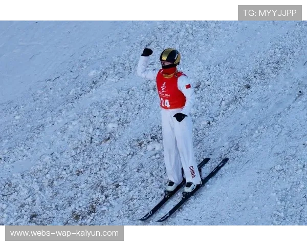 滑雪选手空中翻转两圈半惊呆全场 滑雪选手空中翻转两圈半惊呆全场