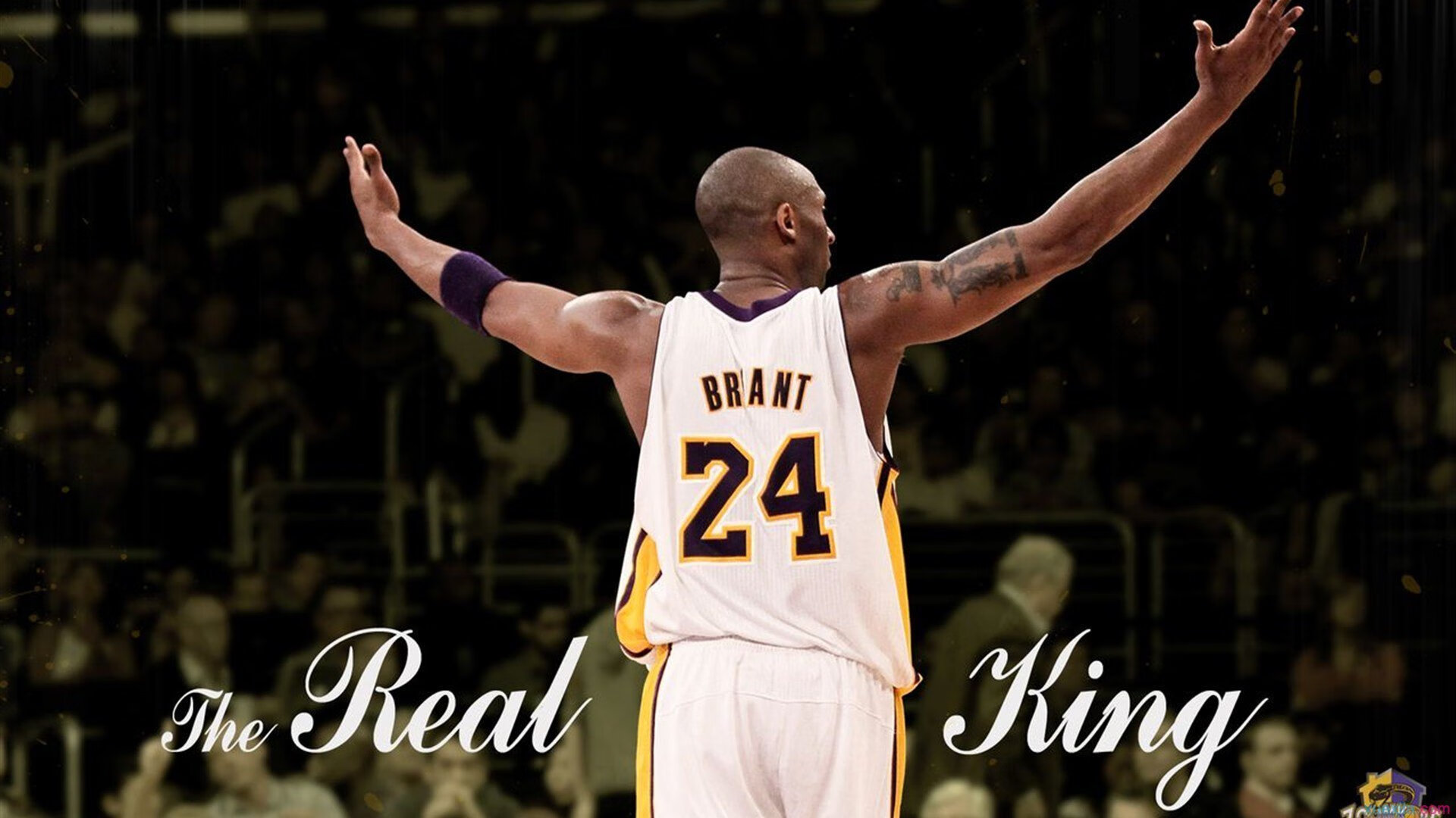 体育场馆数字化管理，体育场馆智慧化建设